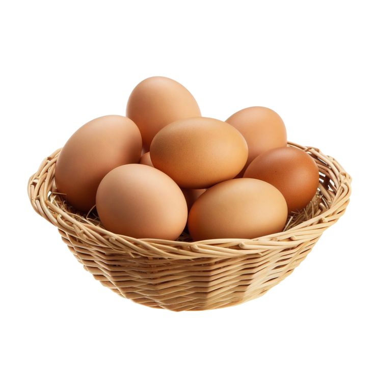 Oeufs frais