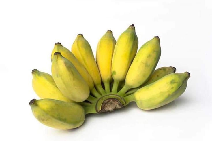 Bananes poyo