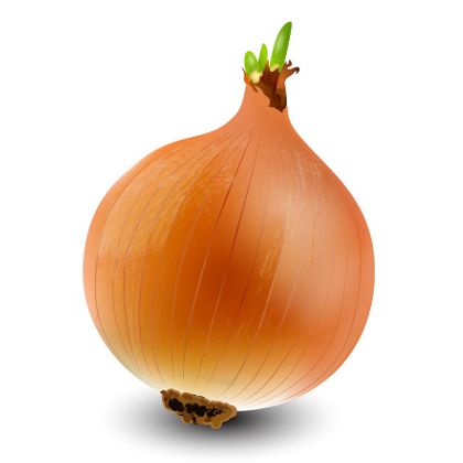Oignons blancs