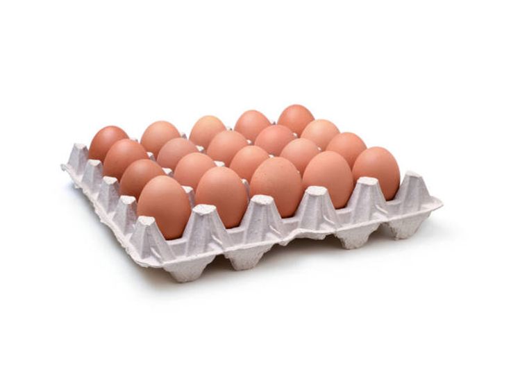 Oeufs frais