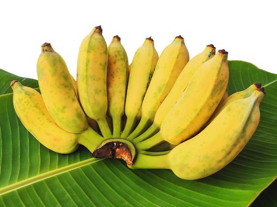 Bananes poyo