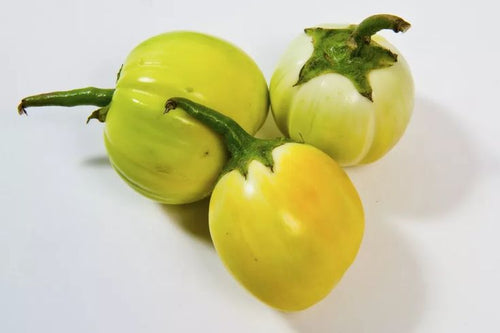 Aubergines rondes